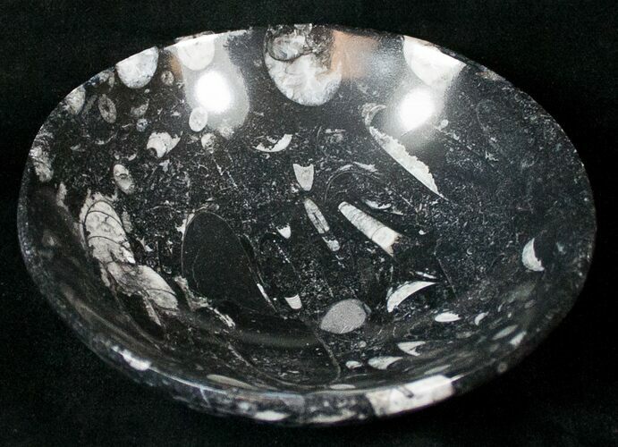 Fossil Goniatite Bowl - Stoneware #18048